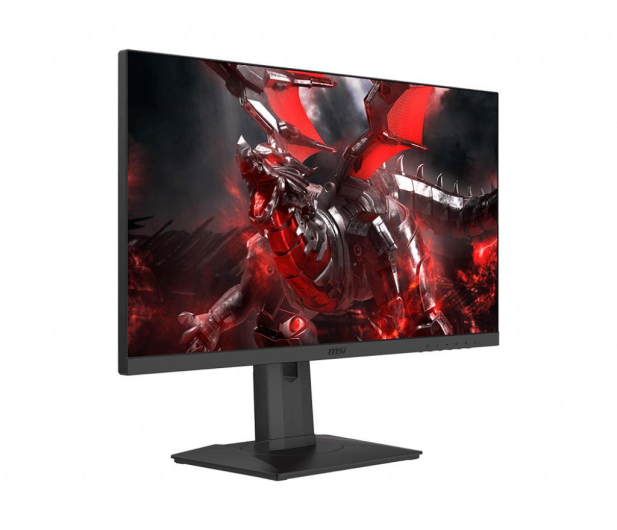 MSI Optix G251PF - 639458 - zdjęcie 2